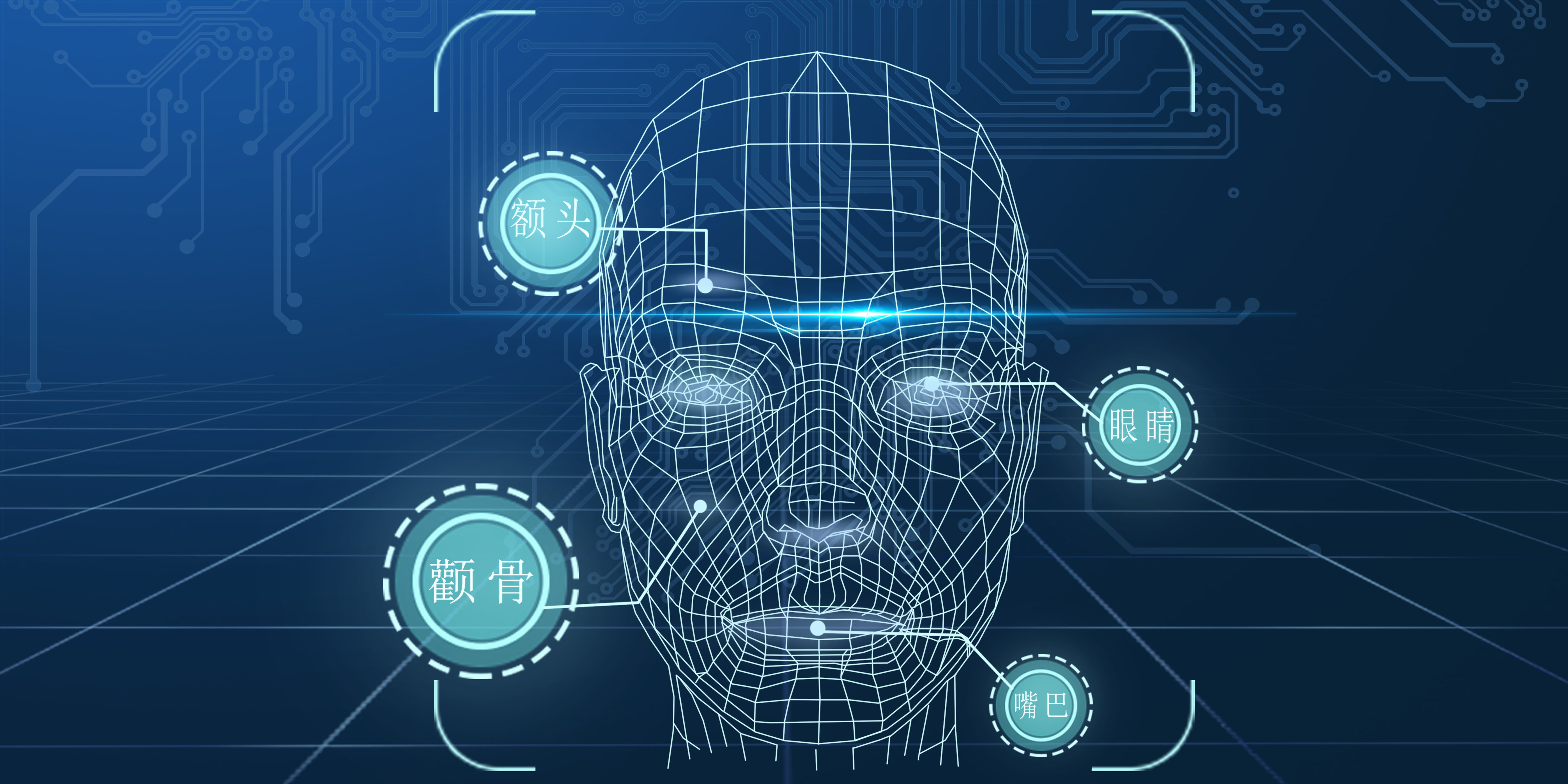 人臉識別系統的四大特征